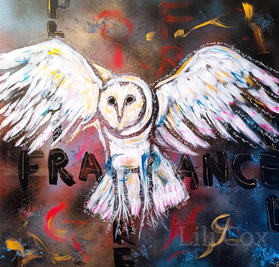 Fly me to the owl – Julie Pineau
