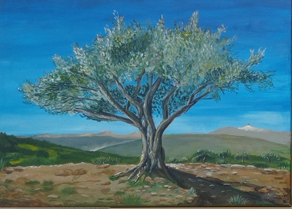 Surprises en provence – Gaële