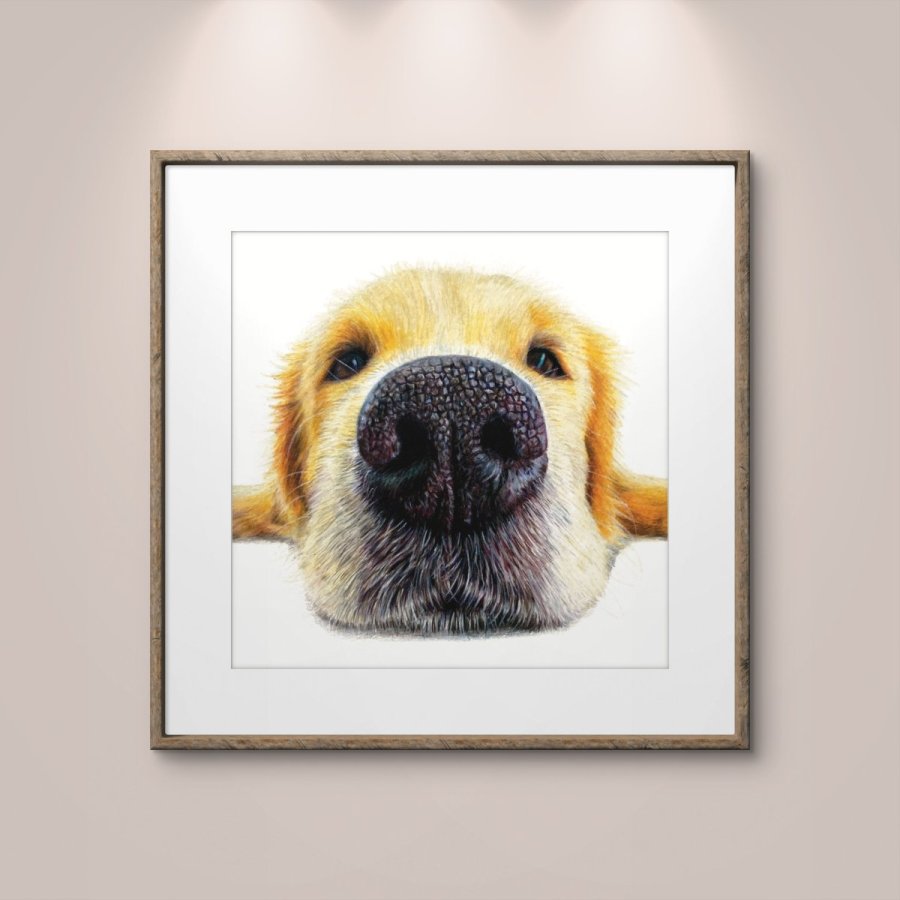Golden Retriever Boop – Chloe Morecroft