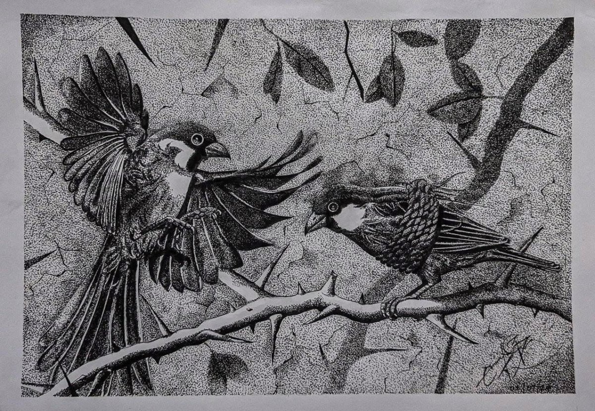 Heights of horror – Timothy Chatupa