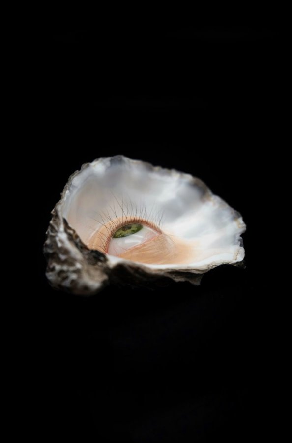 She Watches Silently – Joana Romeiro