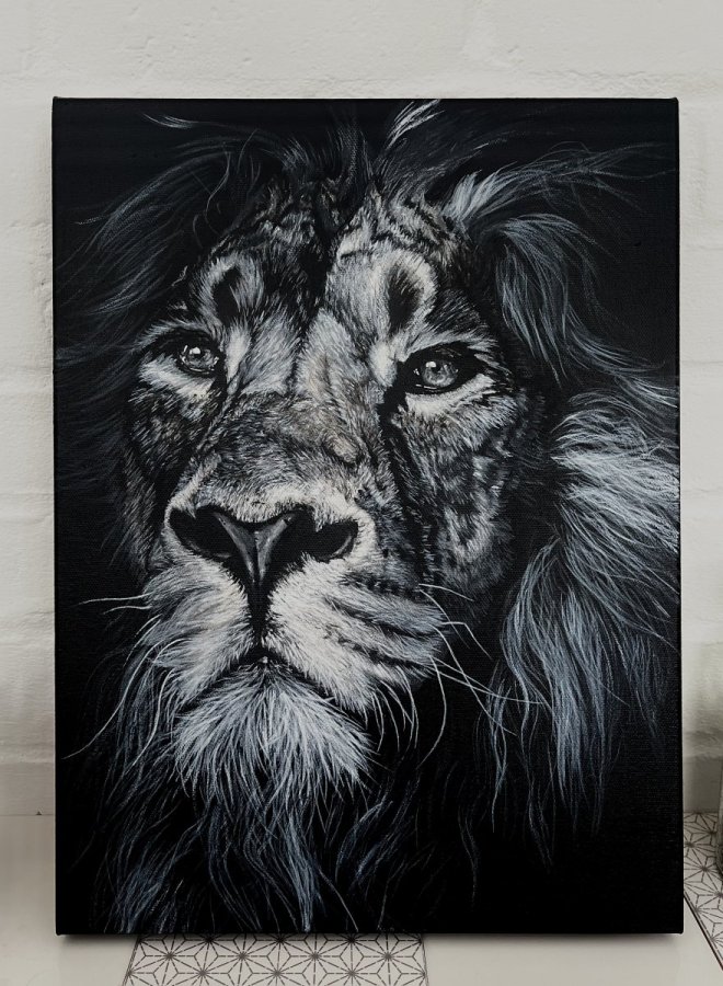 Monochrome Monarch – Valentina Terrasini