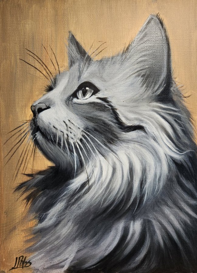 Kitty Thoughts – Jane