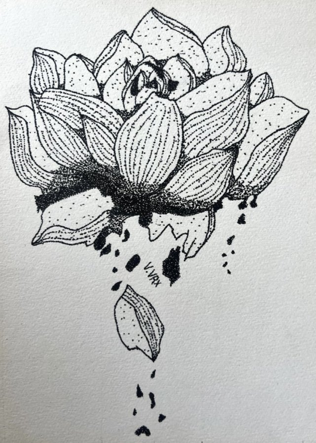 Decaying flower – Roschni Hattingh