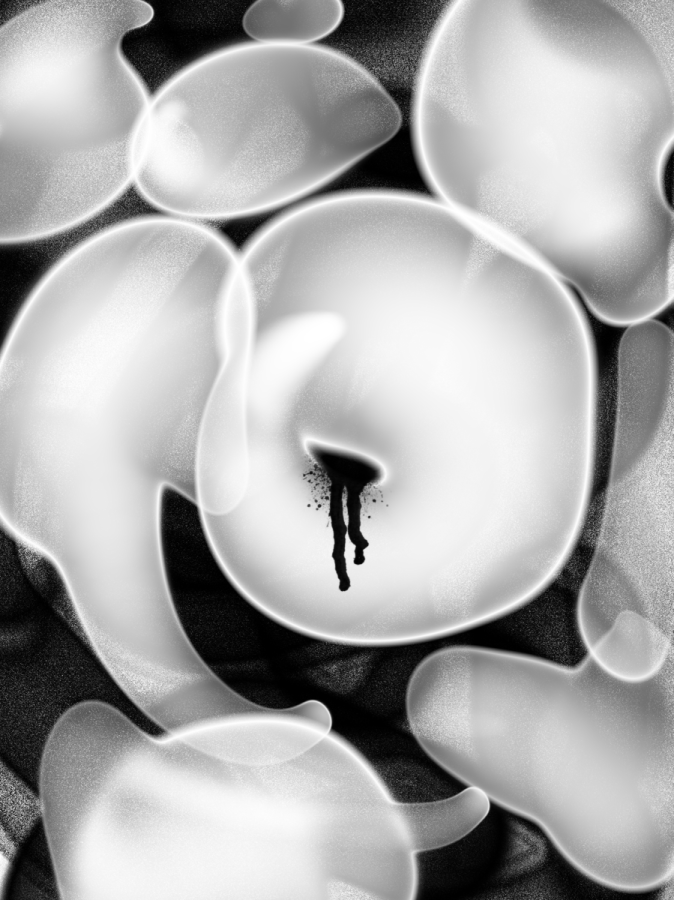 XXX – Matthieu Verchere