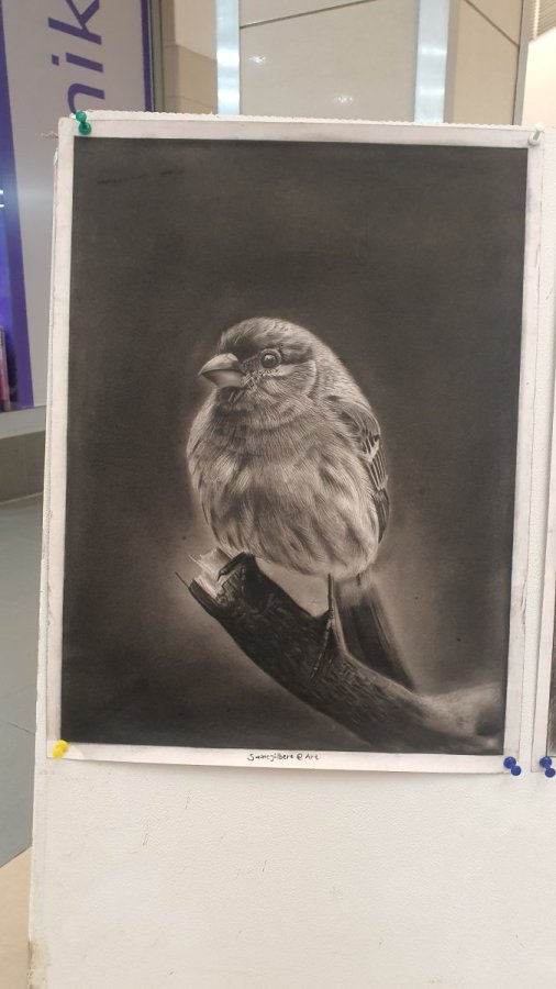 Do Not Worry – Saint Gilbert