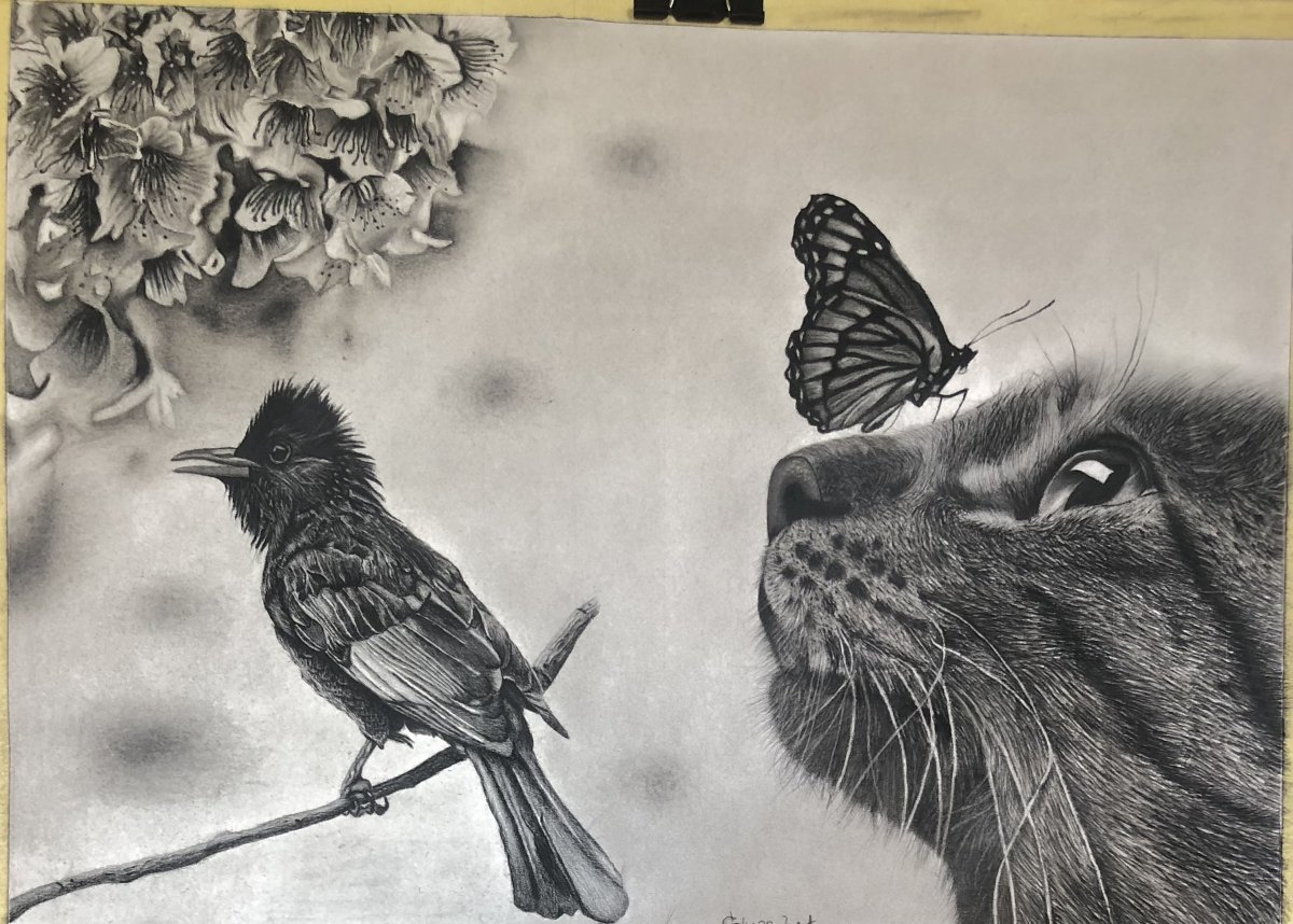 Curiosity – Dennis