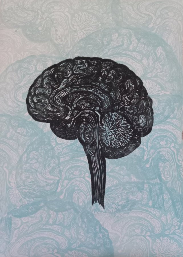 Anomaly – CavalloPrints