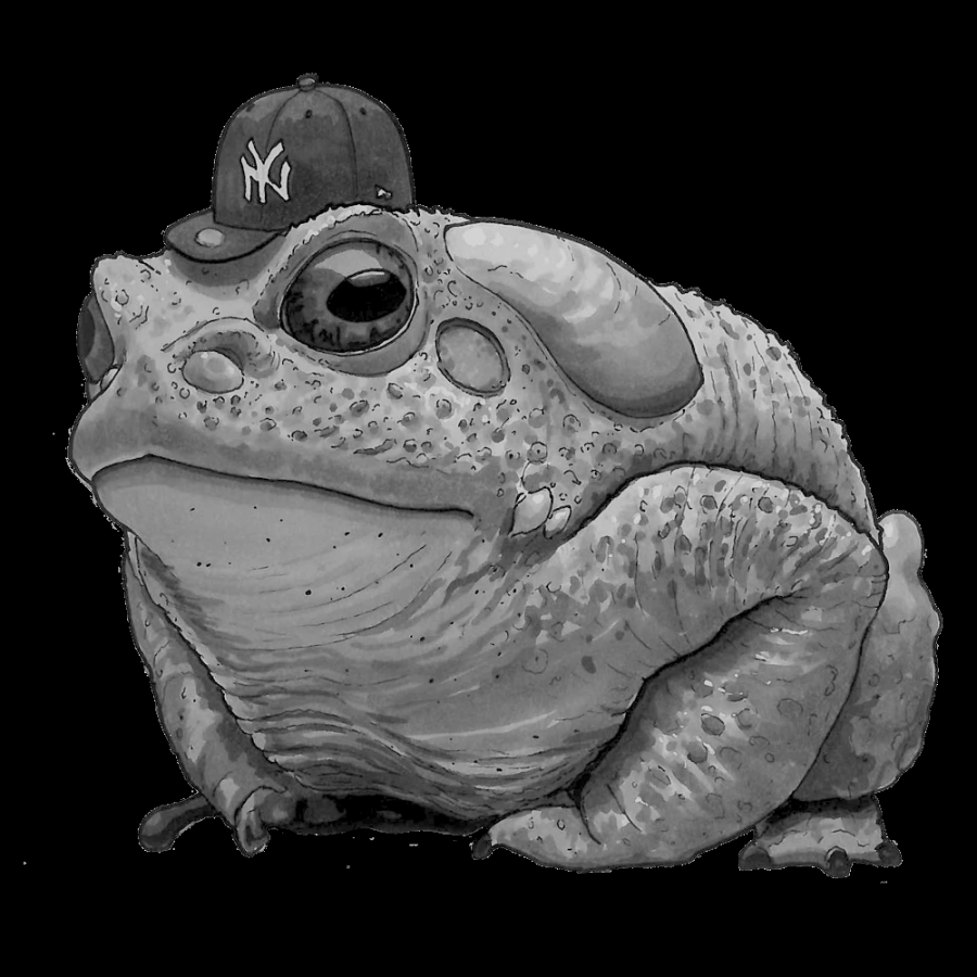 New York Toad – Malcolm Alexander