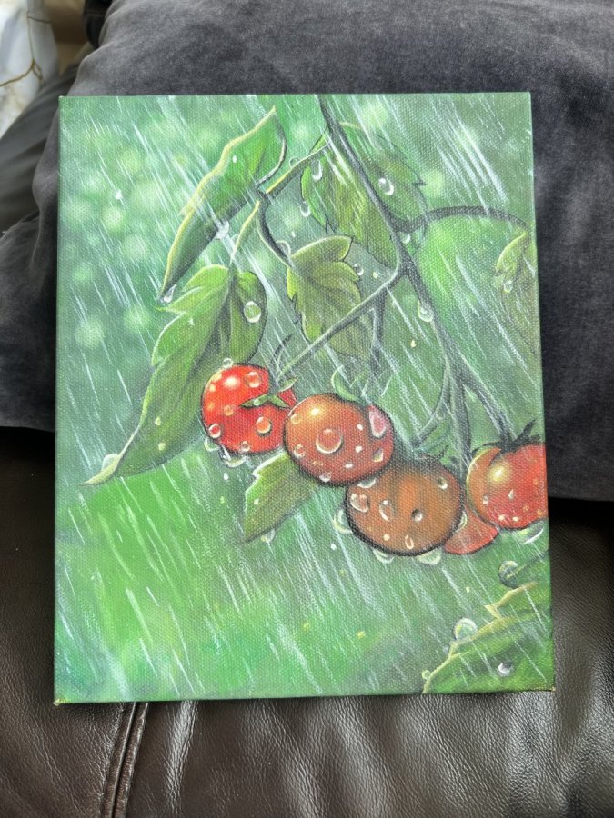 Tomatoes – Sumiya Sadiya