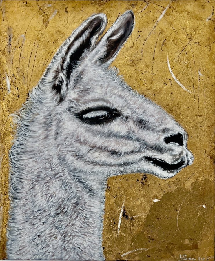 Alpaca - totem spirit – Liron E Rafael