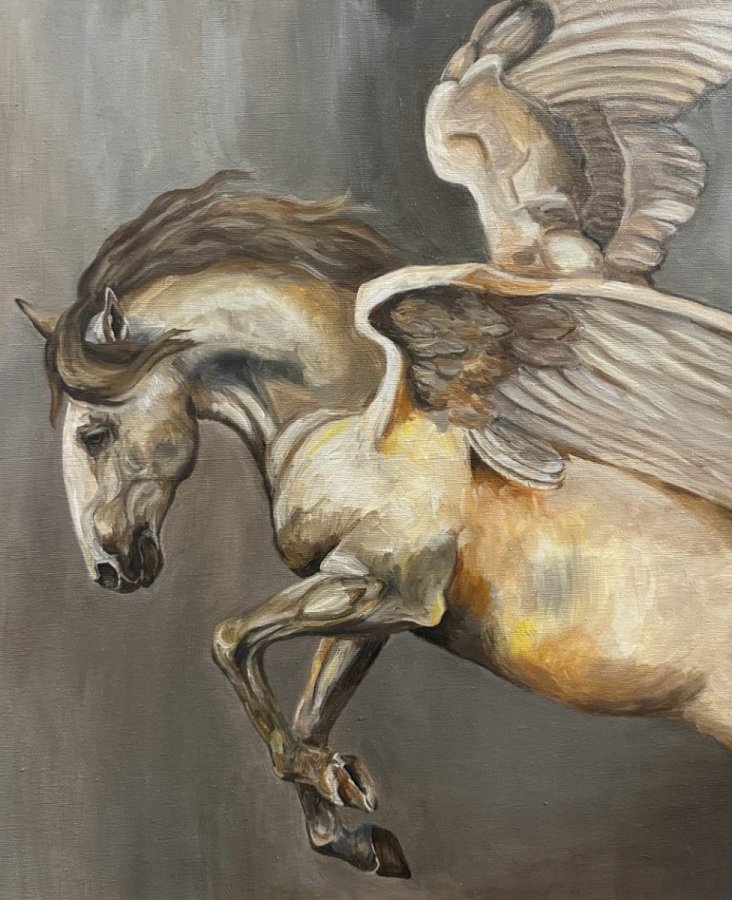 Wings of The Wild - Pegasus, the syimbol of freedom and power – Alexandru Luiza