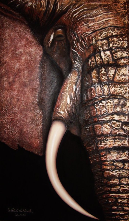 The Elephant – Walid El kouche