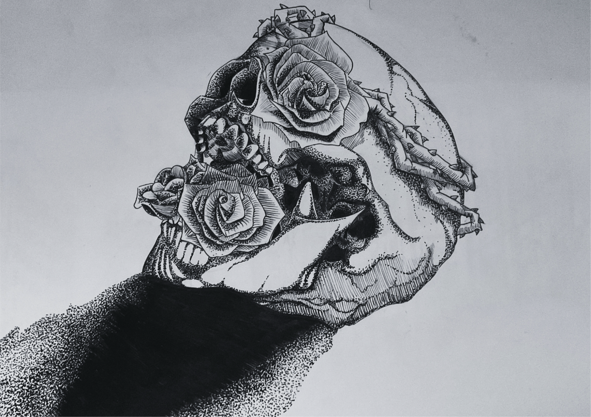 Rose – Alonzo