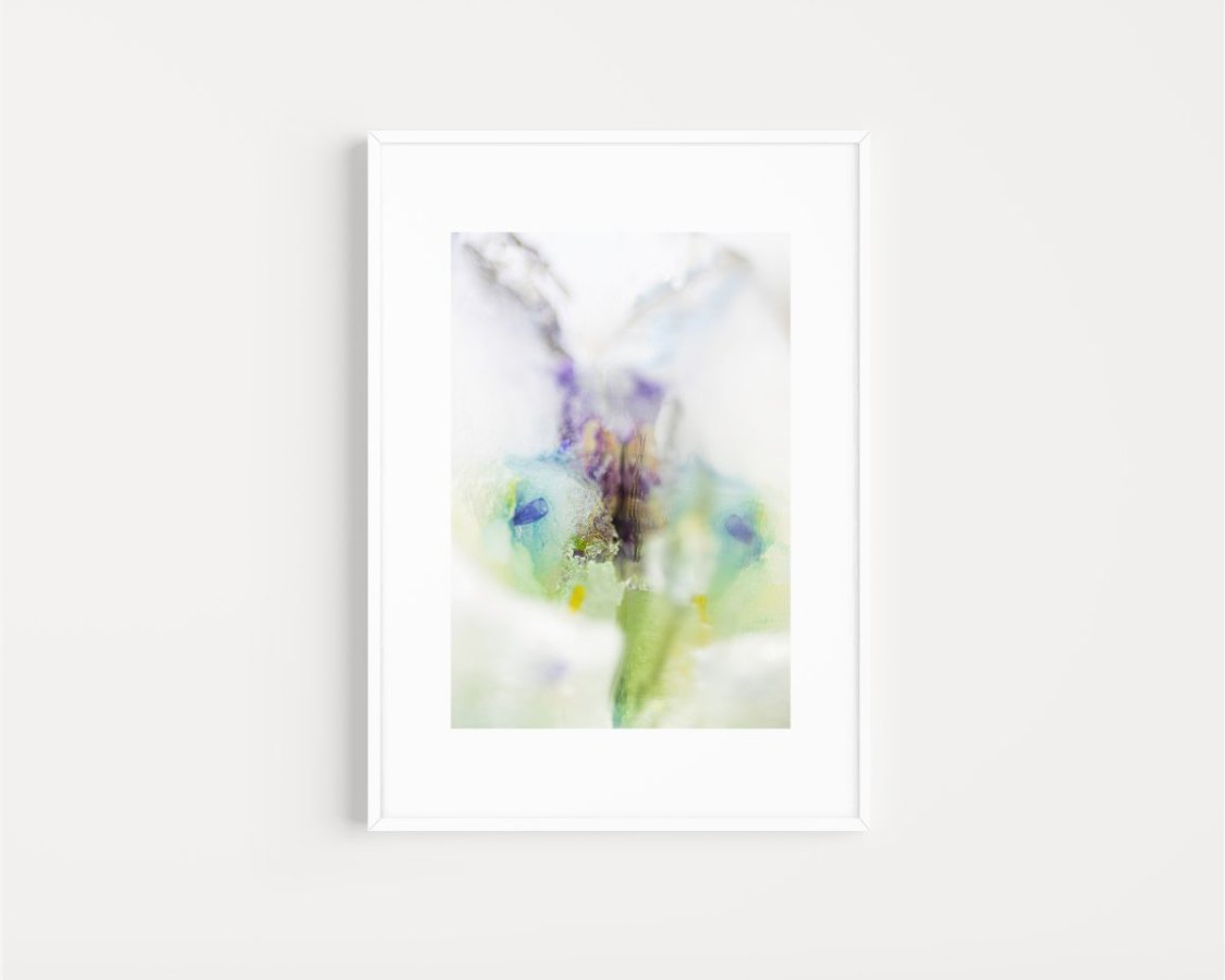 InTRINSICALLY DISORDERED PETALS No.13 – Julia Posta