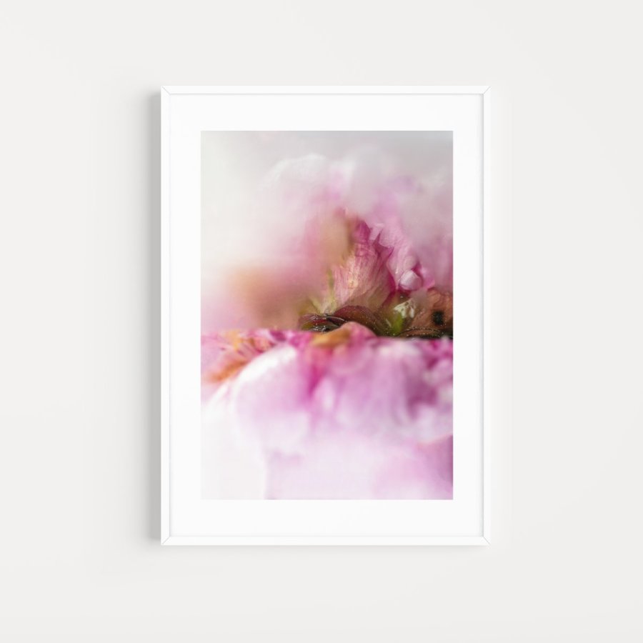 Intrinsically Disordered Petals No.21 – Julia Posta
