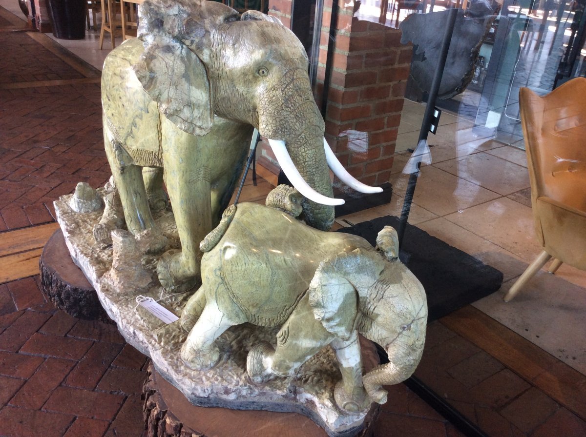 Mother and baby elephant family – Michael Moyowachena