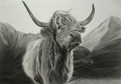 Irish Cow by Dédéline