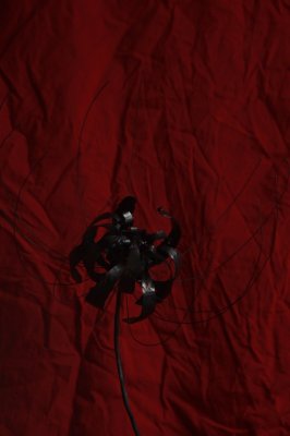 The romanced spider lily by Red Obscurium