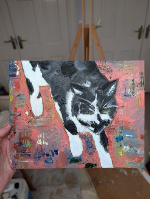 Abstract Cat by Meg O'Doherty