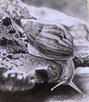 Slow and steady by Bryan art