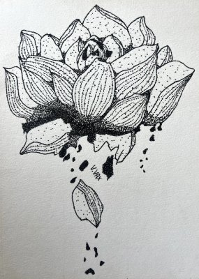 Decaying flower by Roschni Hattingh