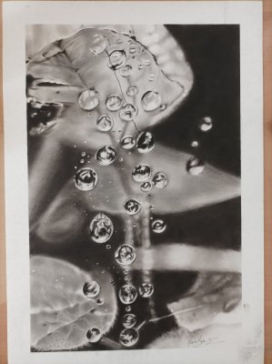 La rosée by Maritza
