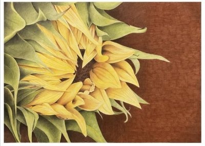 Unfolding Joy by Karien Barnes