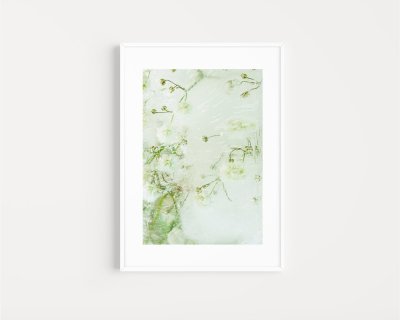 DISORDERED PETALS No. 3 by Julia Posta