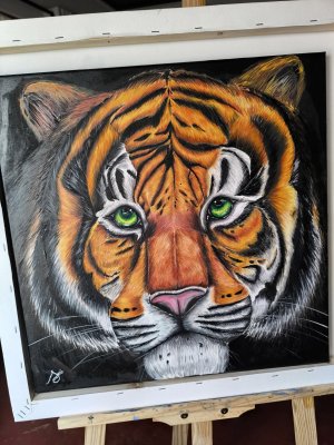 The Tiger by Senomi Daulagala
