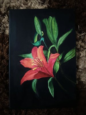 abandoned lily by aida nadia
