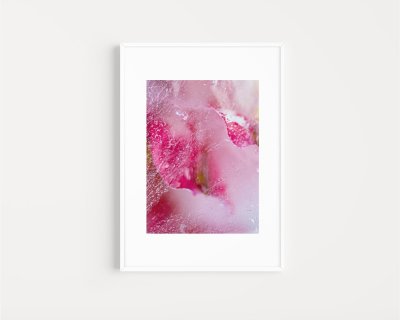 Intrinsically Disordered Petals No. 17 by Julia Posta