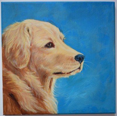 Golden Retriever by Rita