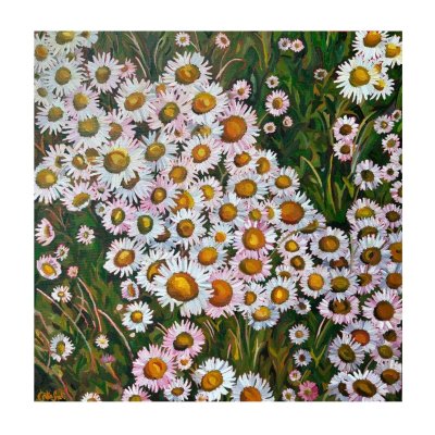 In the Flow by Catalina Sardi