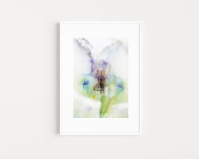 InTRINSICALLY DISORDERED PETALS No.13 by Julia Posta