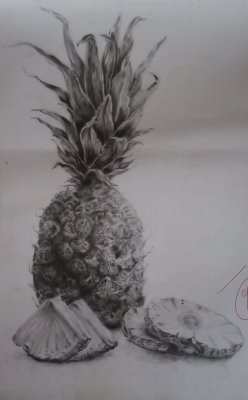 The pineapple still life by Aboagye Stephen