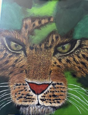 Regard sauvage by Loki