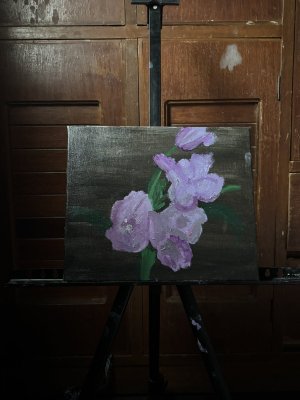 Over the darkness by Ella