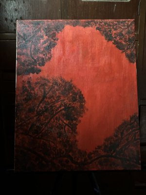 The sky was red by Ella