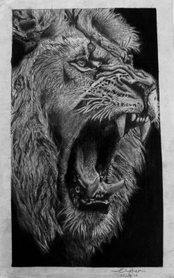 The Sentinel by Cipher