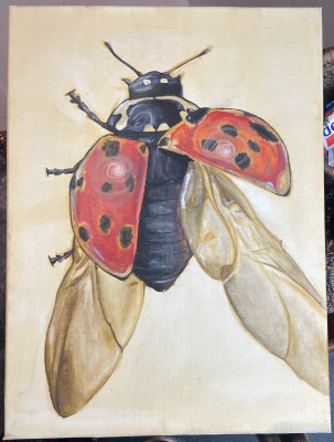 Ladybug by Cloe Mora