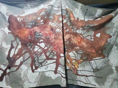 Faded Echoes by Peter Akwuetteh