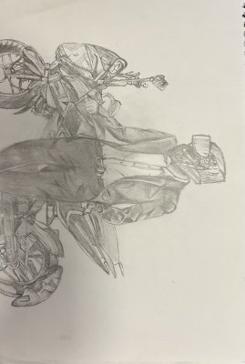 Freedom by Taylor Harvey