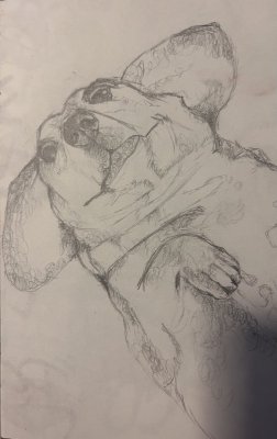 Bundle of joy by Taylor