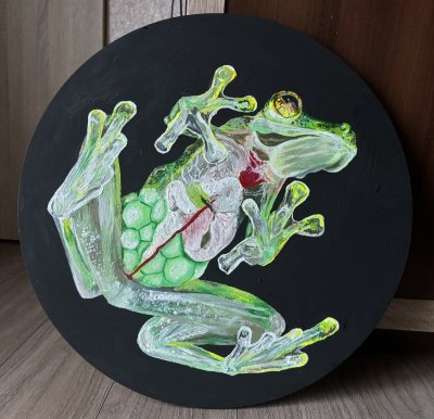 Glass Frog by Mariia