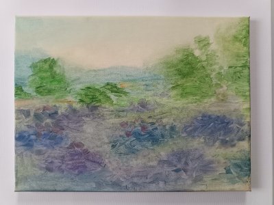 Misty coral field by Jitka V.