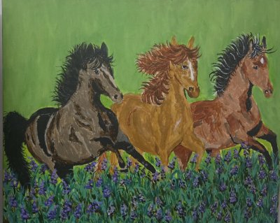 The 3 lucky horses by Jill vale